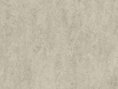 Concrete мармолеум форбо